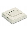 Interruptor de superficie 10A-250V Marfil